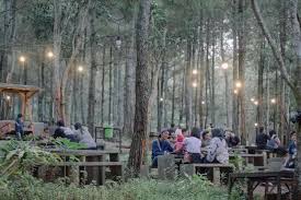 Hutan Pinus Plapar